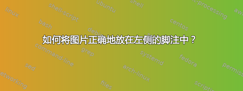 如何将图片正确地放在左侧的脚注中？