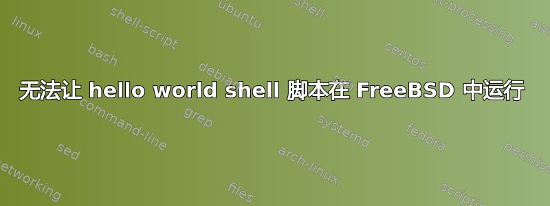 无法让 hello world shell 脚本在 FreeBSD 中运行