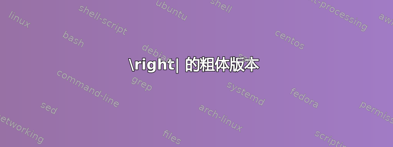 \right| 的粗体版本