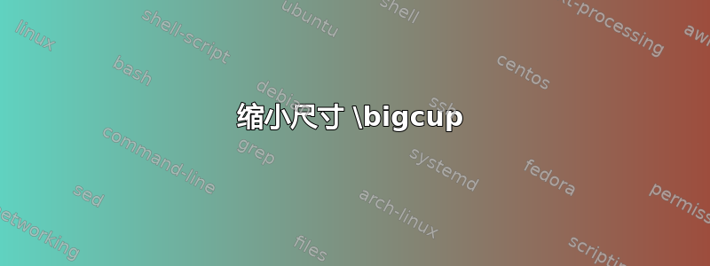 缩小尺寸 \bigcup