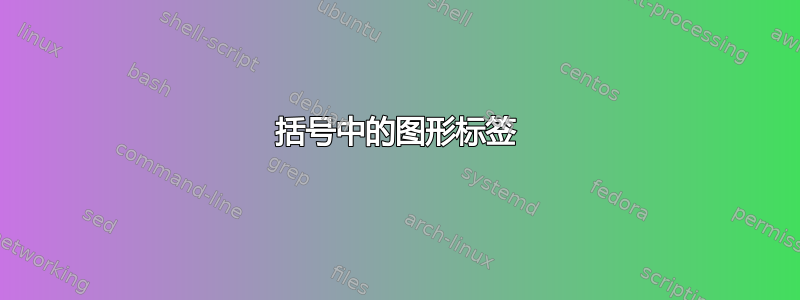 括号中的图形标签