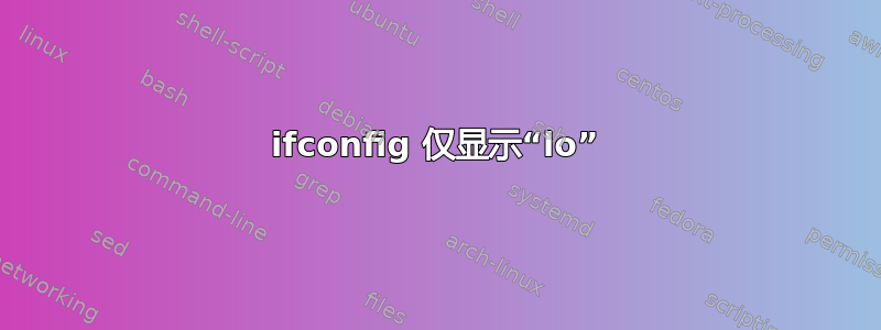 ifconfig 仅显示“lo”