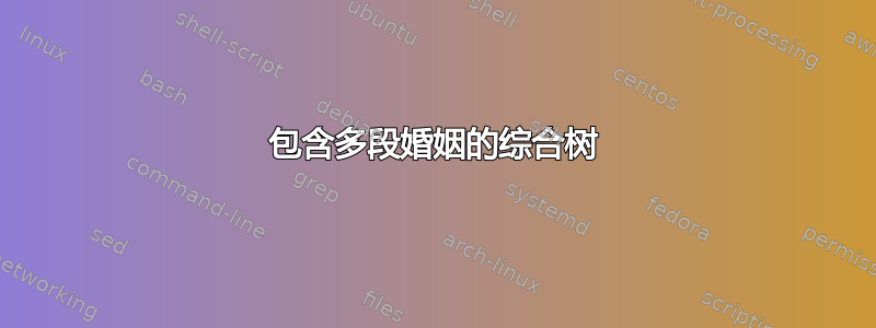 包含多段婚姻的综合树