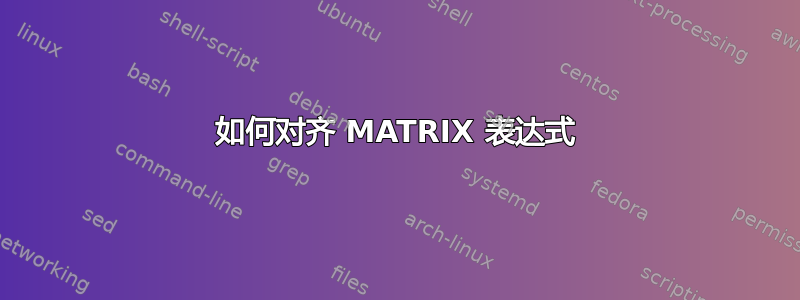 如何对齐 MATRIX 表达式