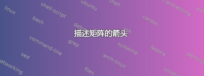 描述矩阵的箭头