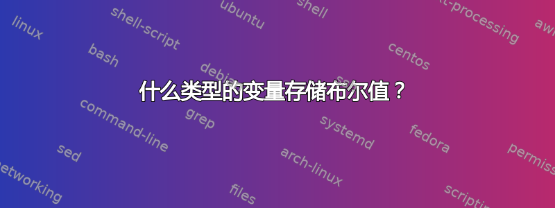 什么类型的变量存储布尔值？