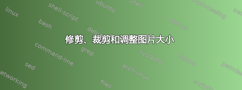 修剪、裁剪和调整图片大小