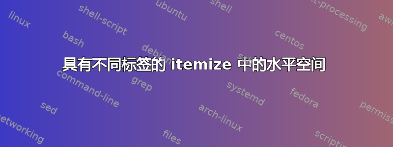 具有不同标签的 itemize 中的水平空间