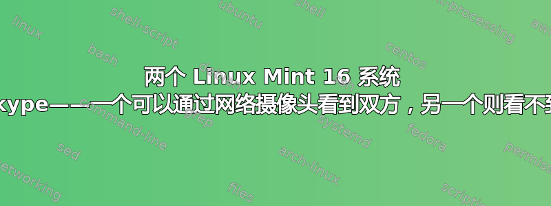 两个 Linux Mint 16 系统 Skype——一个可以通过网络摄像头看到双方，另一个则看不到