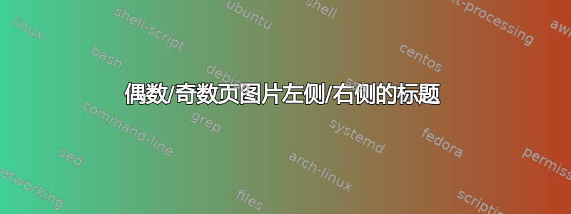 偶数/奇数页图片左侧/右侧的标题