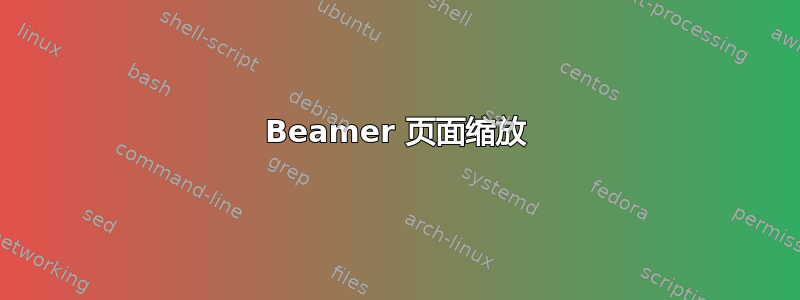 Beamer 页面缩放