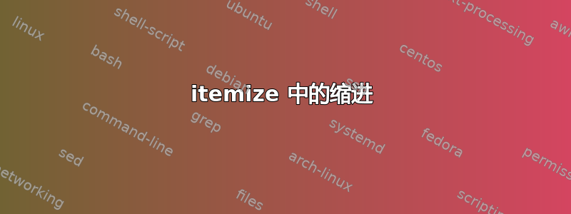 itemize 中的缩进