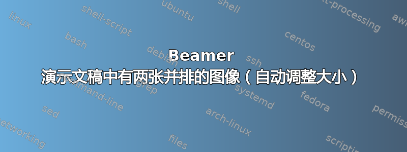 Beamer 演示文稿中有两张并排的图像（自动调整大小）