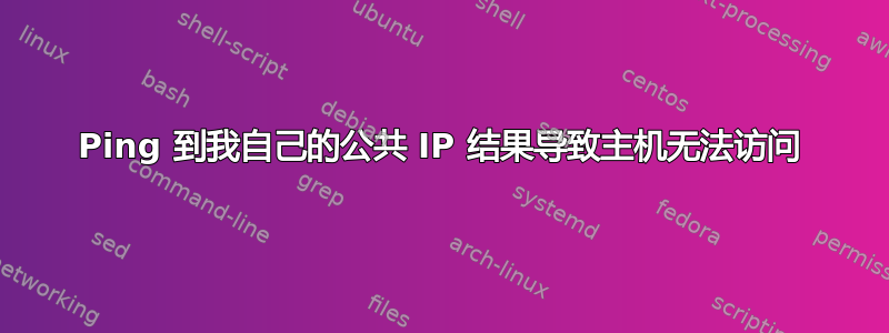 Ping 到我自己的公共 IP 结果导致主机无法访问