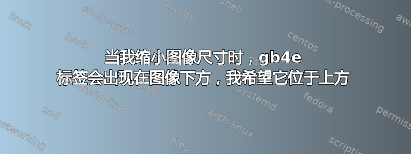 当我缩小图像尺寸时，gb4e 标签会出现在图像下方，我希望它位于上方