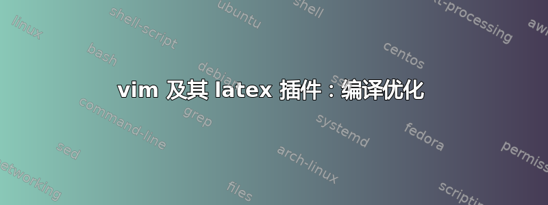 vim 及其 latex 插件：编译优化