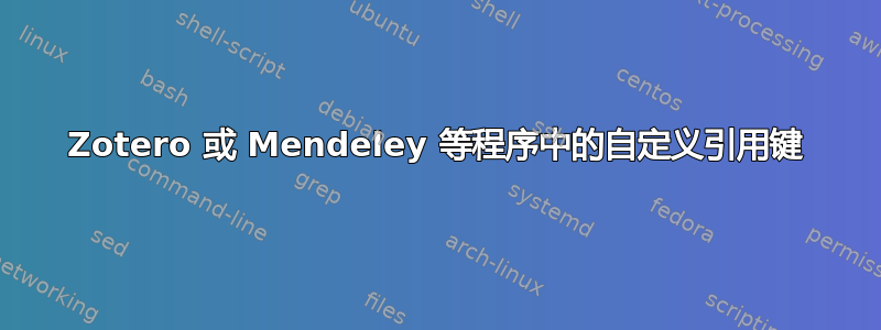 Zotero 或 Mendeley 等程序中的自定义引用键