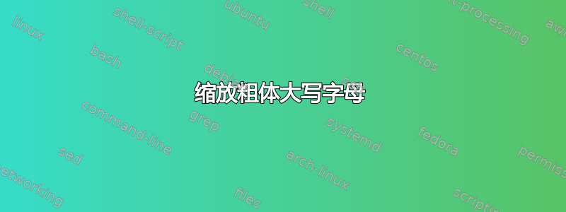 缩放粗体大写字母