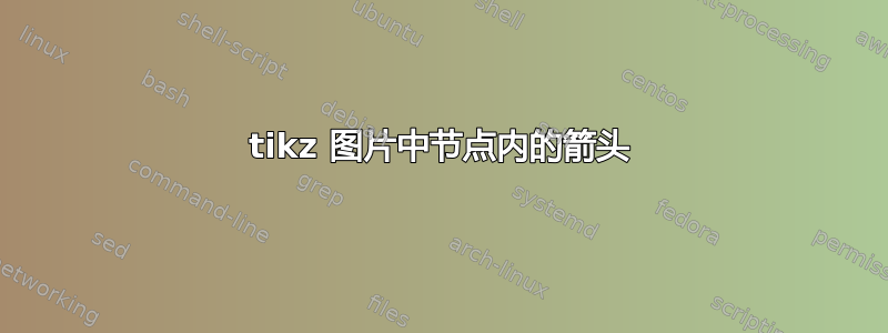 tikz 图片中节点内的箭头