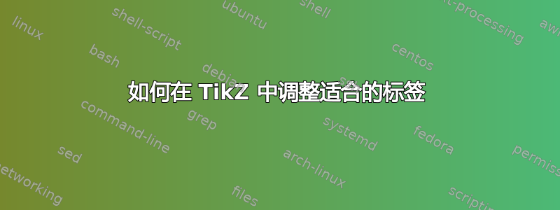 如何在 TikZ 中调整适合的标签