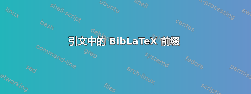 引文中的 BibLaTeX 前缀