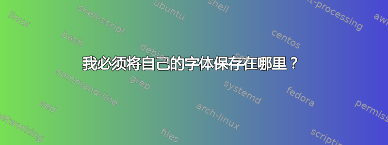 我必须将自己的字体保存在哪里？