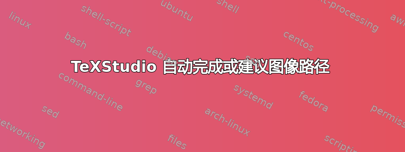 TeXStudio 自动完成或建议图像路径