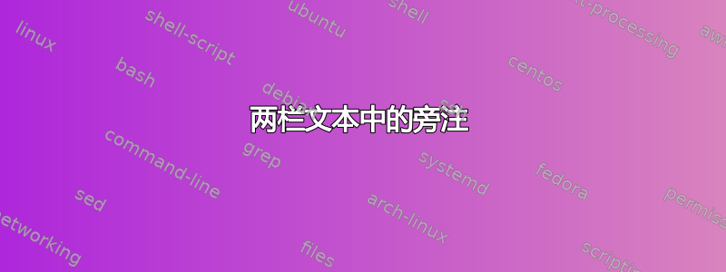 两栏文本中的旁注