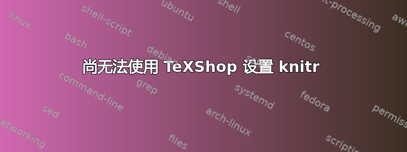 尚无法使用 TeXShop 设置 knitr