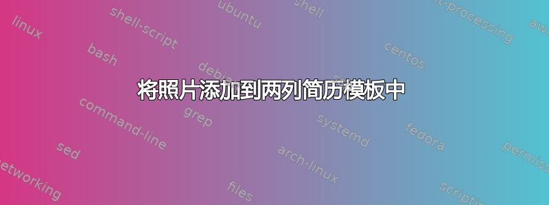 将照片添加到两列简历模板中