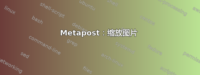 Metapost：缩放图片