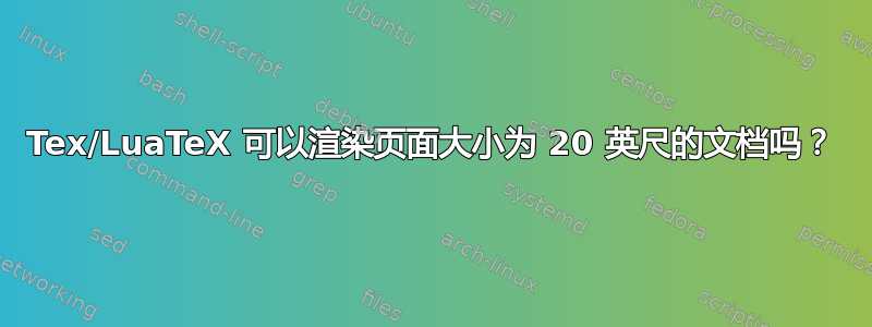 Tex/LuaTeX 可以渲染页面大小为 20 英尺的文档吗？