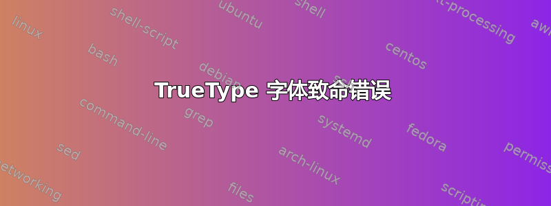 TrueType 字体致命错误