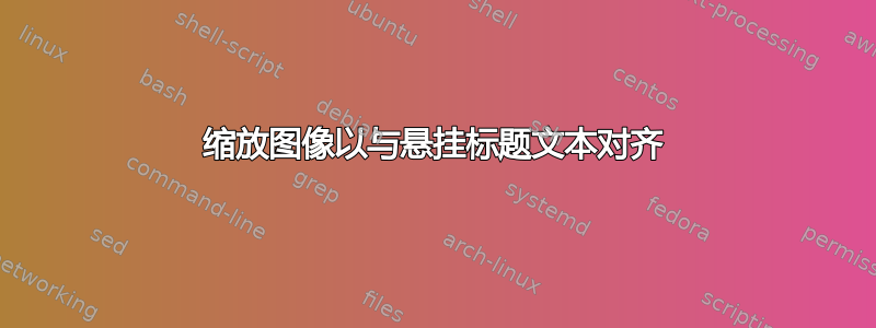 缩放图像以与悬挂标题文本对齐