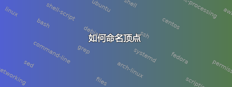 如何命名顶点