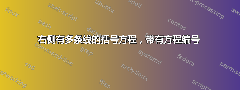 右侧有多条线的括号方程，带有方程编号