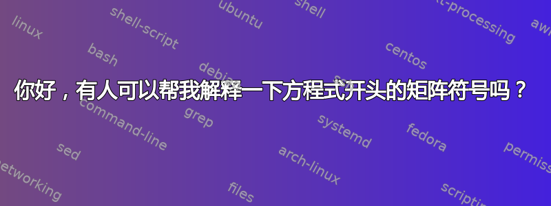 你好，有人可以帮我解释一下方程式开头的矩阵符号吗？