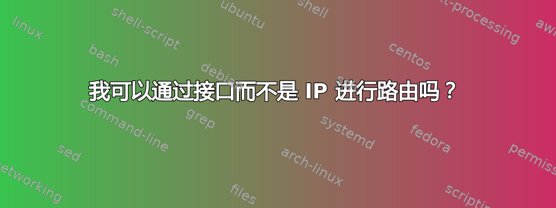 我可以通过接口而不是 IP 进行路由吗？