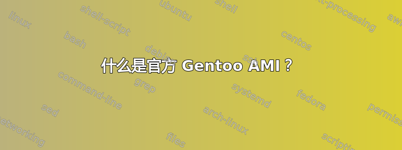 什么是官方 Gentoo AMI？