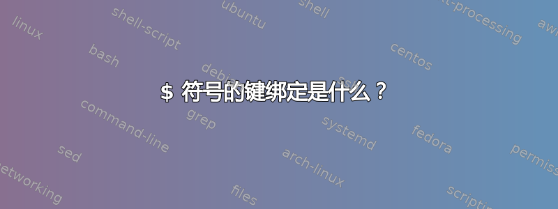 $ 符号的键绑定是什么？