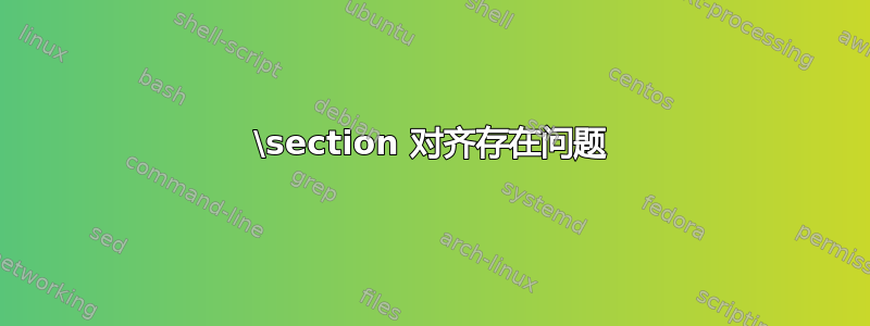 \section 对齐存在问题