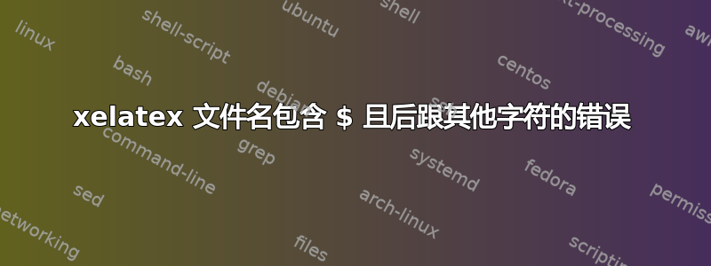 xelatex 文件名包含 $ 且后跟其他字符的错误