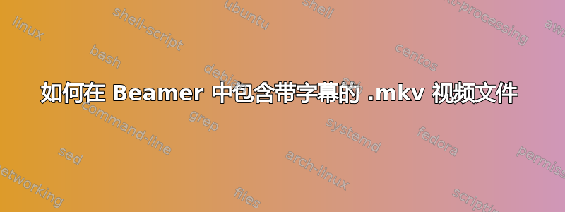 如何在 Beamer 中包含带字幕的 .mkv 视频文件