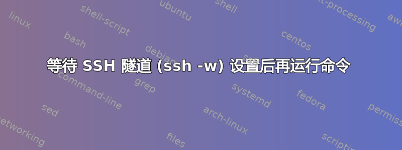 等待 SSH 隧道 (ssh -w) 设置后再运行命令