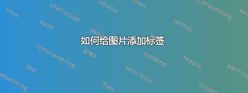 如何给图片添加标签