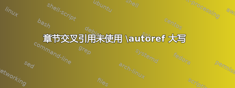 章节交叉引用未使用 \autoref 大写 