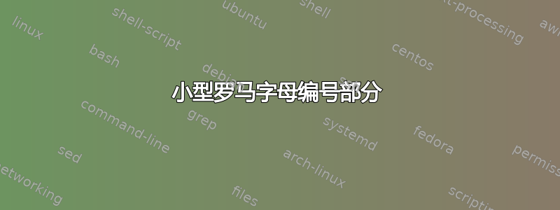 小型罗马字母编号部分