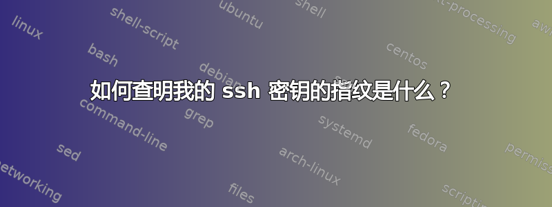 如何查明我的 ssh 密钥的指纹是什么？