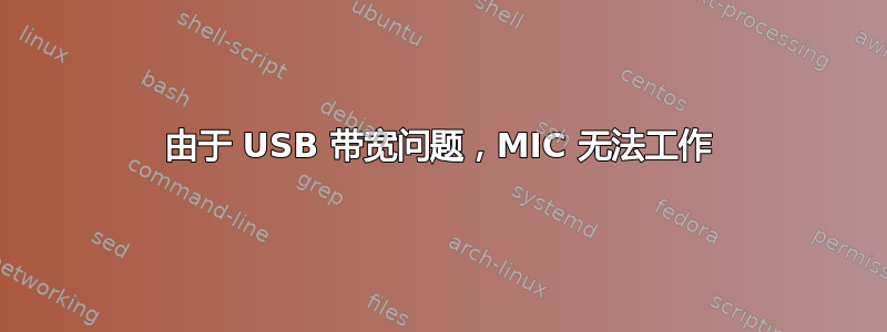 由于 USB 带宽问题，MIC 无法工作