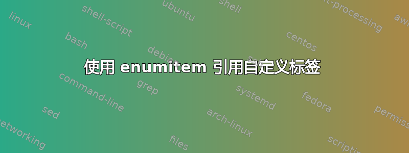 使用 enumitem 引用自定义标签